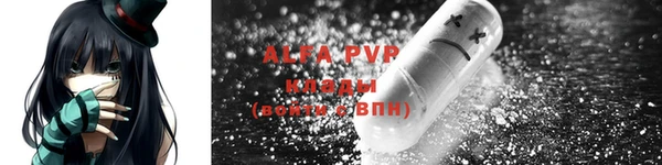 сатива Корсаков