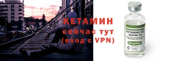 сатива Корсаков