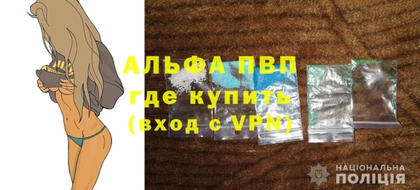 сатива Корсаков