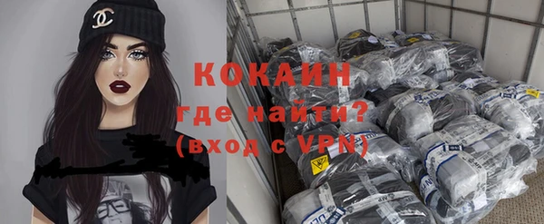 сатива Корсаков
