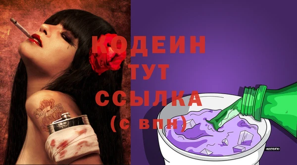 сатива Корсаков